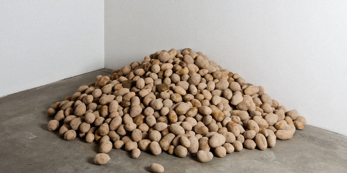 Arte Povera