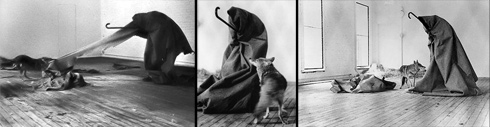 Joseph Beuys, I like America... , 1974