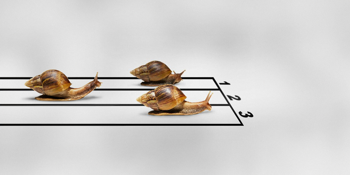 Course d&rsquo;escargots