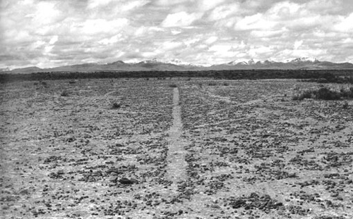 A line and tracks in Bolivia, Richard Long, 1981