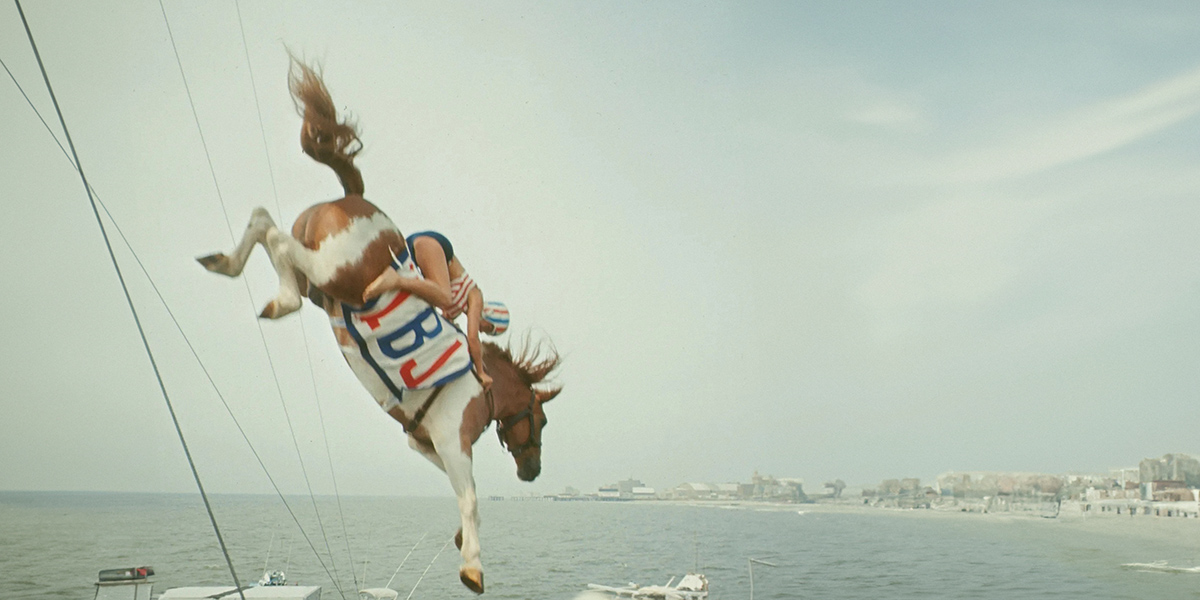 Diving Horse