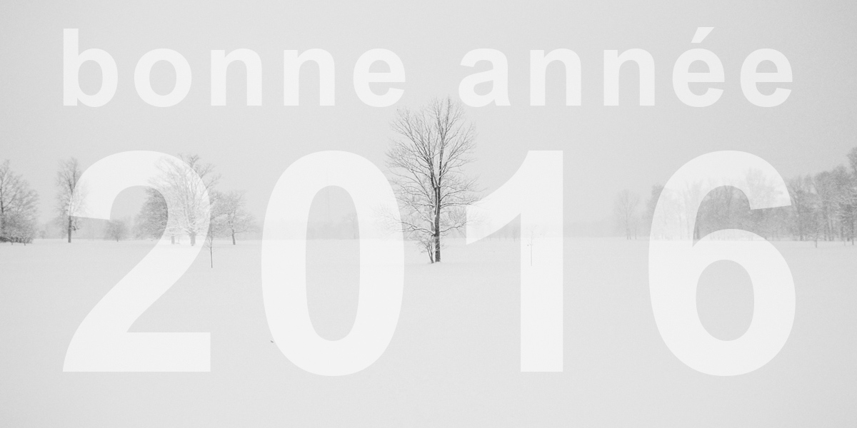 Bonne année 2016 !