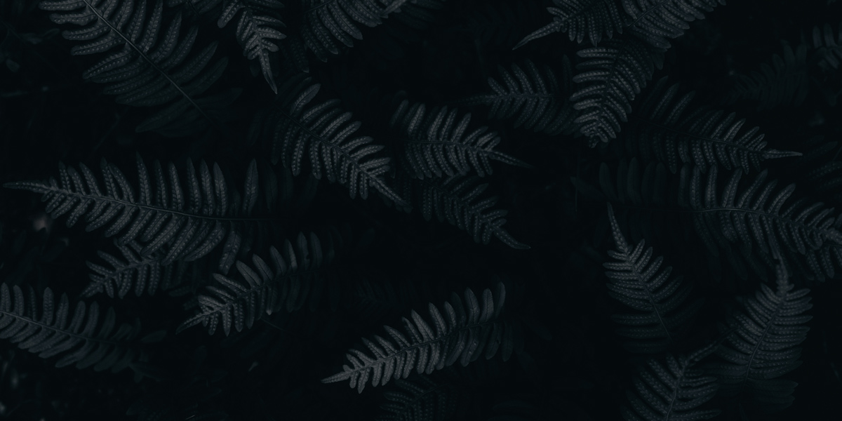 Noir sur noir