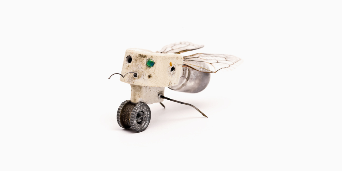 Drôle d’insecte