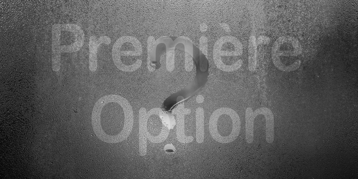 Questionnements 1re Opt