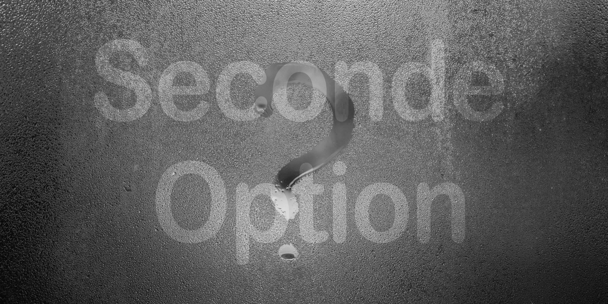Questionnements 2nde Opt