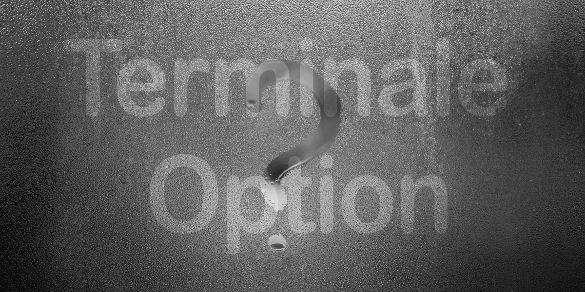 Questionnements Tle Opt