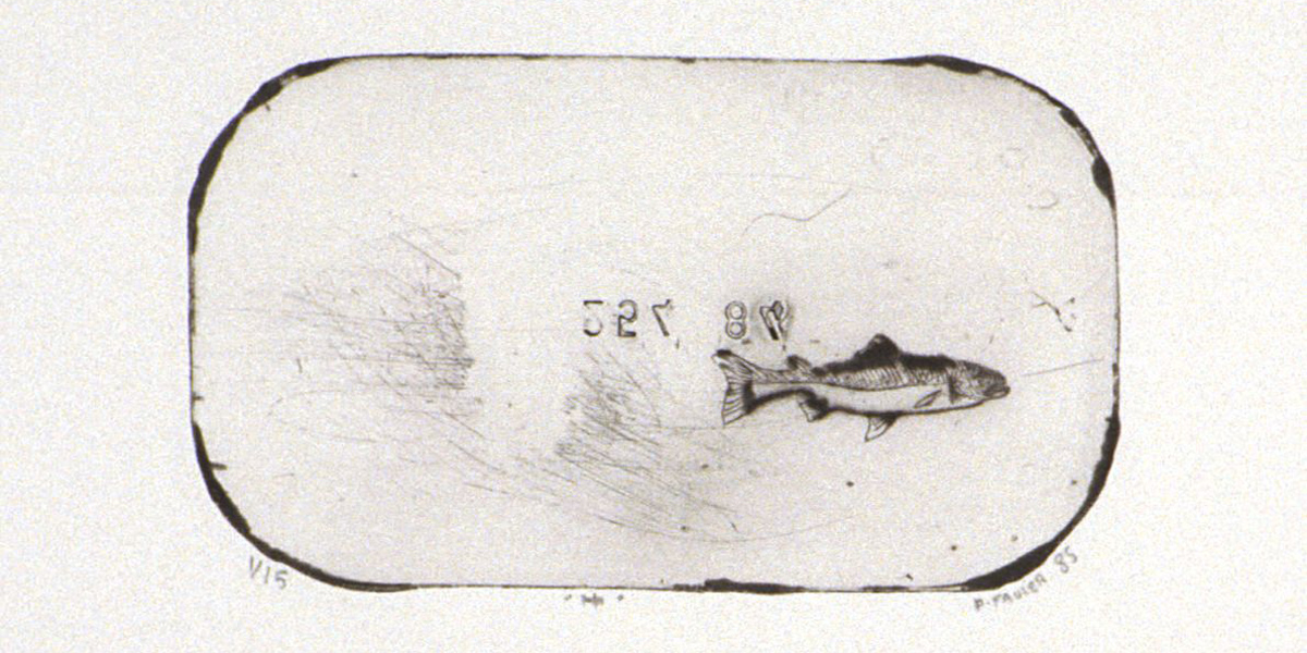 Estampe : empreintes du réel, traces du geste